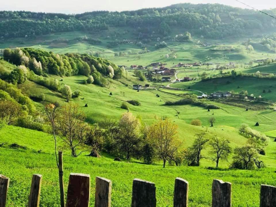 Pensiunea Valea Toplitei Rosia المظهر الخارجي الصورة